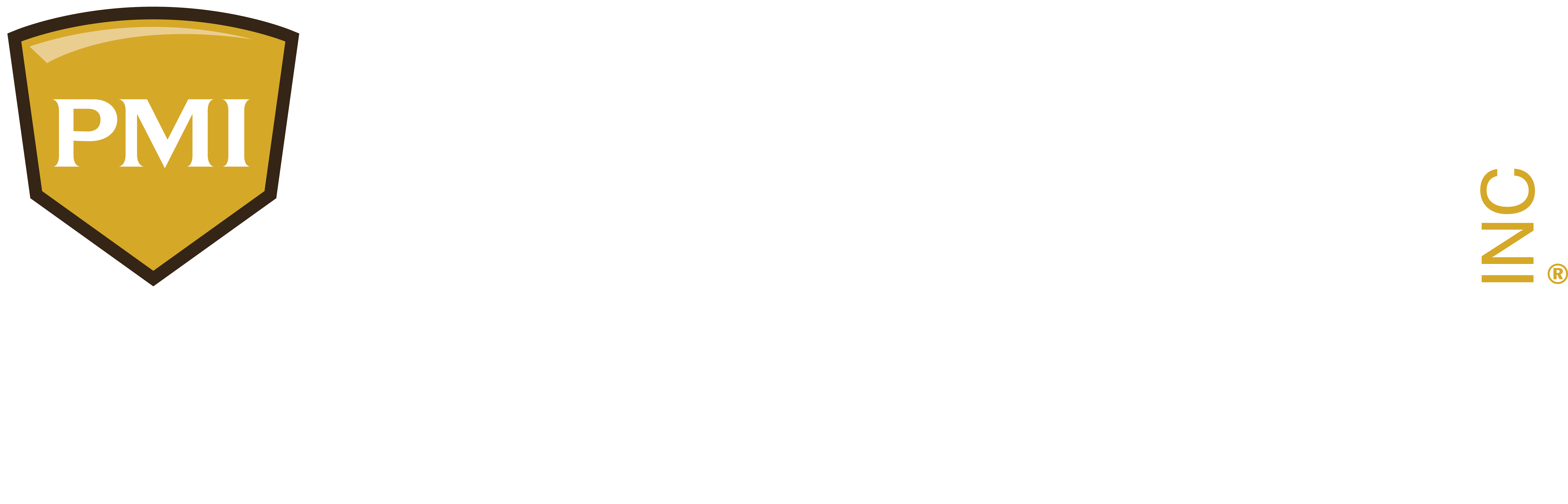 PMI Curacao Logo